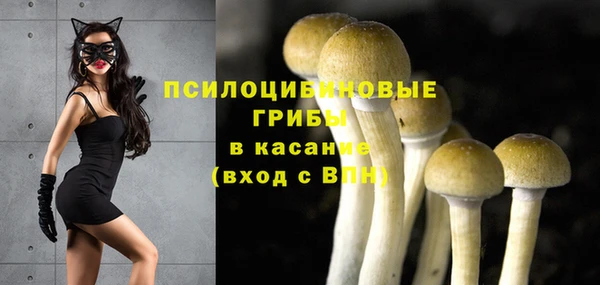 PSILOCYBIN Бугульма